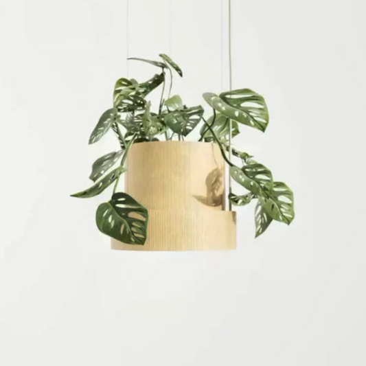 Evy Pendant